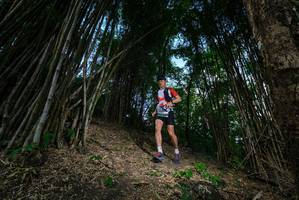 BIB: 
                            <button type="button" onclick="openModal(19395521)" class="btn btn-primary btn-sm float-right btn-popup" data-toggle="modal" data-target=".modal-high-quality">
                        <i class="fas fa-shopping-cart"></i> Add to Cart
                    </button>
                                            <button type="button" onclick="isThisMe(19395521, true)" class="btn btn-success btn-sm float-right btn-popup btn-isme hidden" data-toggle="tooltip" data-placement="bottom" title="นี่คือรูปของคุณใช่ไหม คลิกที่นี่เพื่อเอาเข้าอัลบั้ม">
                        <i class="fas fa-plus"></i> Add to album
                    </button>
                    <button type="button" onclick="isThisMe(19395521, false)" class="btn btn-warning btn-sm float-right btn-popup btn-isnotme hidden">
                        <i class="fas fa-ban"></i> Remove from album
                    </button>